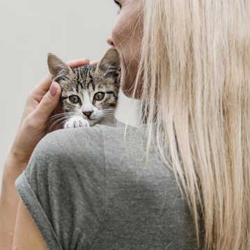 Local SEO optimization in Saudi Arabia